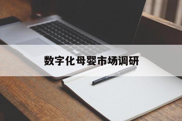 昌吉市数字化母婴市场调研(数字化母婴市场调研报告)