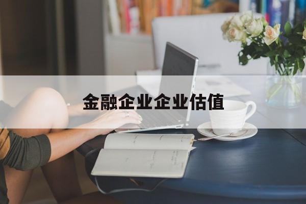 昌吉市金融企业企业估值(最新企业估值怎么填)